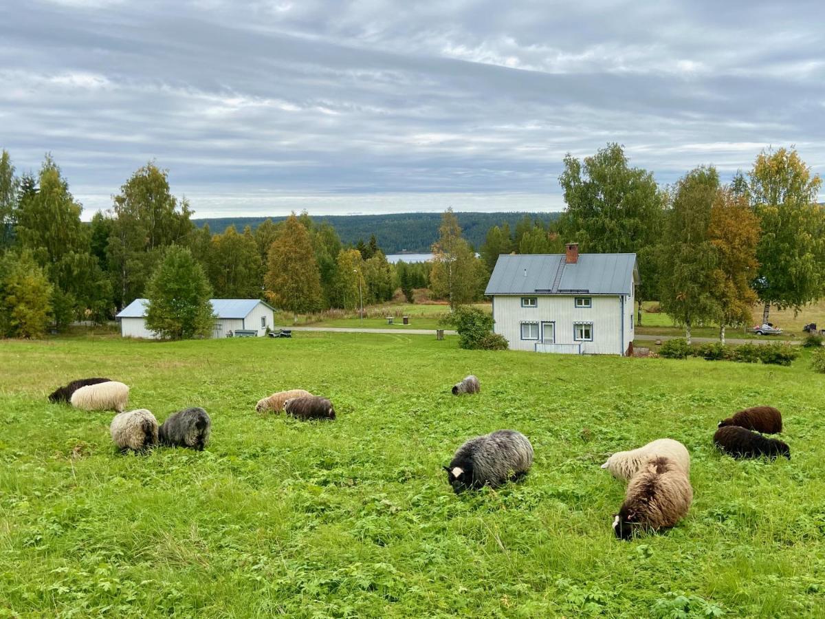 Vildmarksgard Lillviken Strömsund Exteriör bild