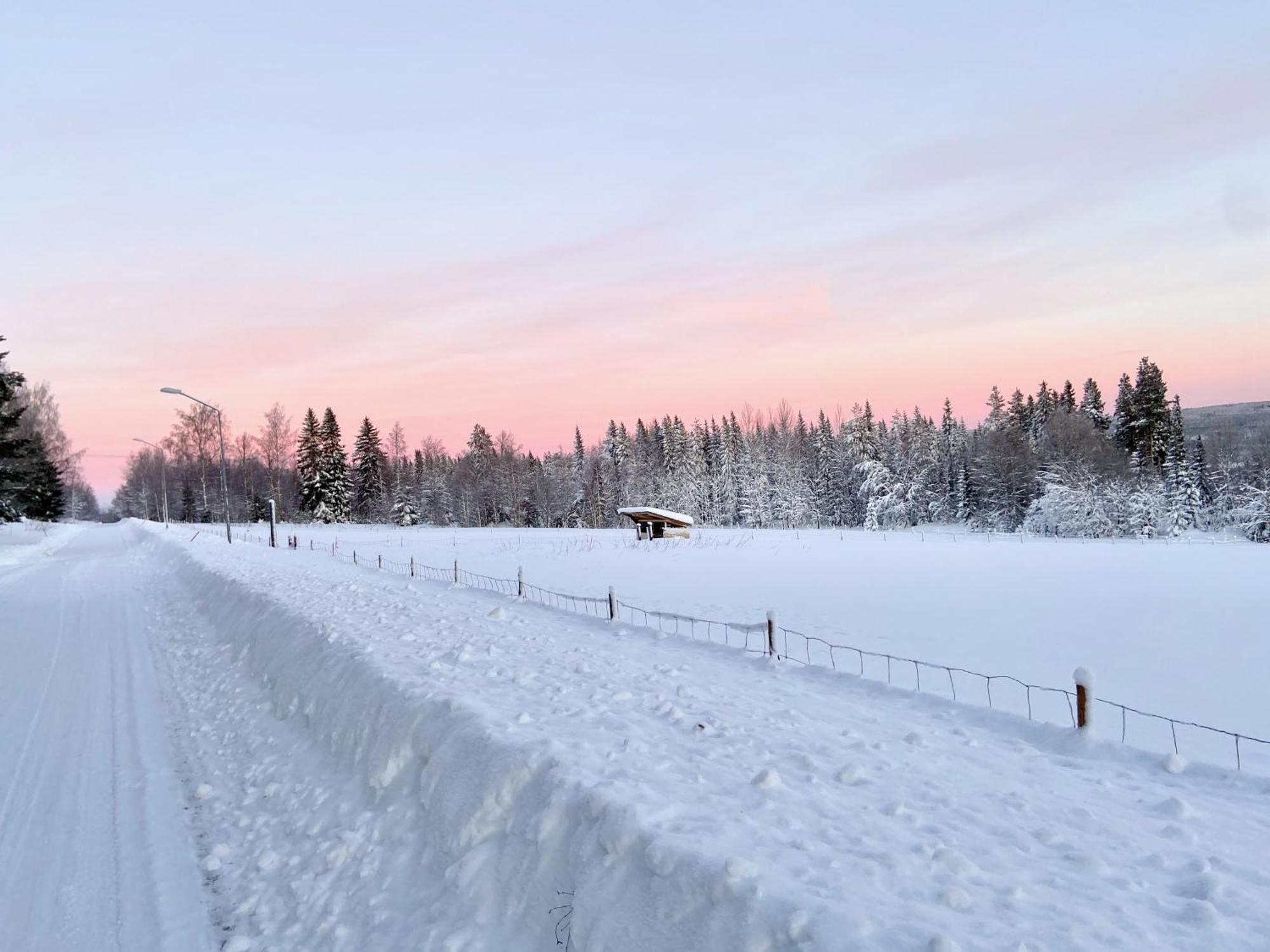 Vildmarksgard Lillviken Strömsund Exteriör bild